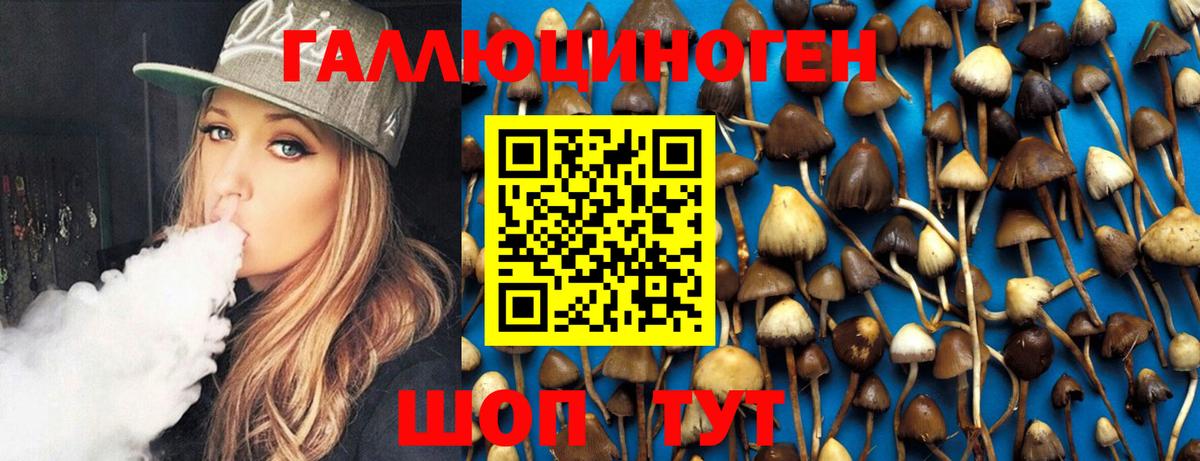Пенза  Псилоцибиновые грибы GOLDEN TEACHER  Галлюциногенные грибы Psilocybe  Вход с VPN 